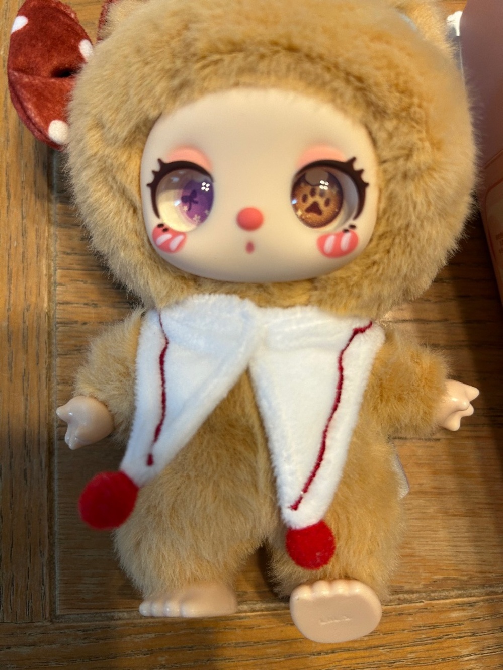 Liilas lucky cat Carmel cocoa